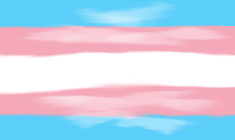 Transgender Flag (Realm)